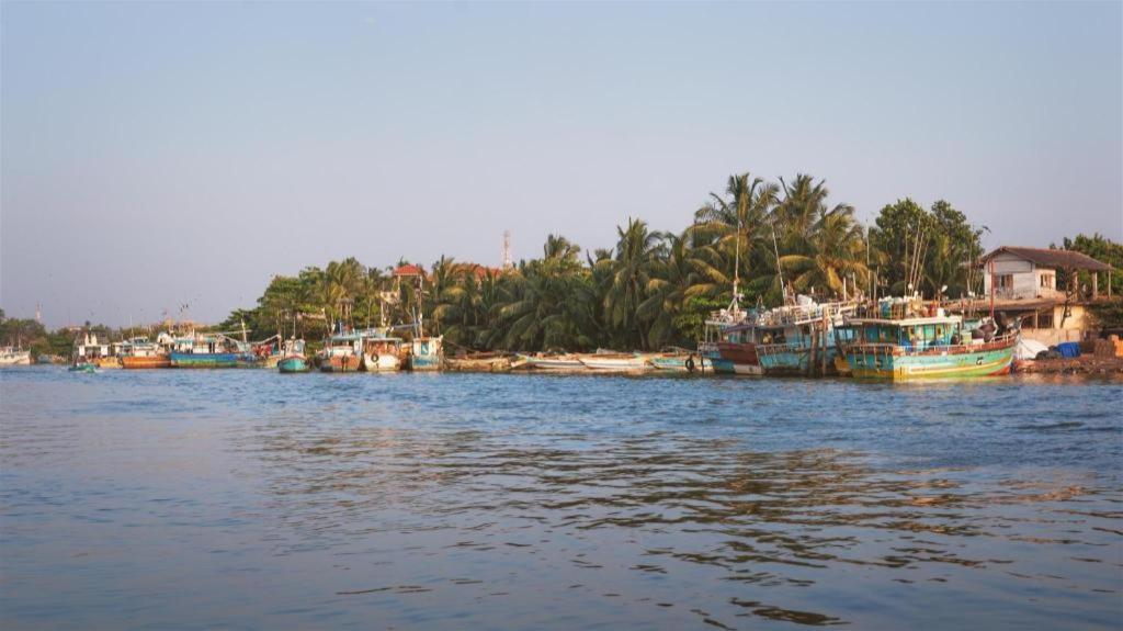 Araliya Blue Beach View Hotel Kudapaduwa Ngoại thất bức ảnh